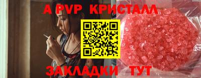 стафф Малоярославец